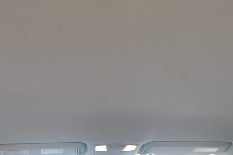 Used Nissan Patrol 2018 4.0L LinkedIn Edition Headliner