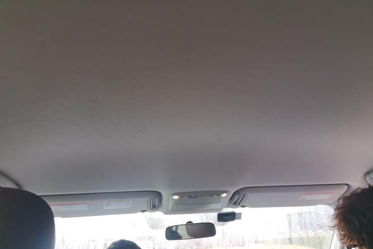 Used Nissan Patrol 2018 4.0L LinkedIn Edition Headliner