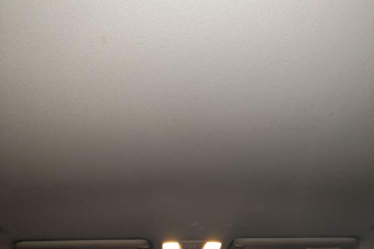 Used Nissan Patrol 2018 4.0L Automatic 7-Seater Middle East Version Headliner