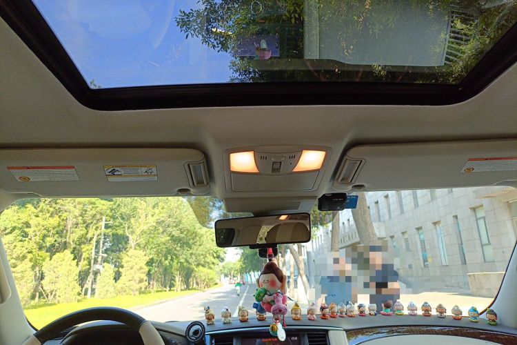Used Nissan Patrol  Headliner