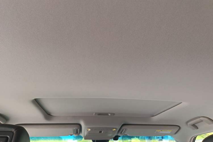 Used Nissan Patrol 2018 5.6L Standard Version Headliner