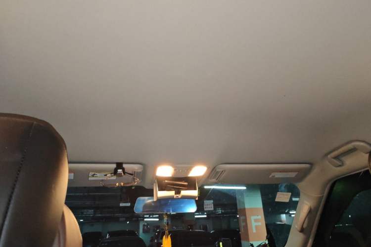 Used Nissan Patrol 2018 4.0L Automatic 7-Seater Middle East Version Headliner