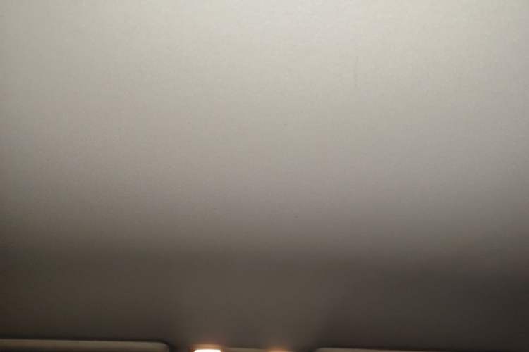 Used Nissan Patrol 2018 4.0L Automatic 7-Seater Middle East Version Headliner