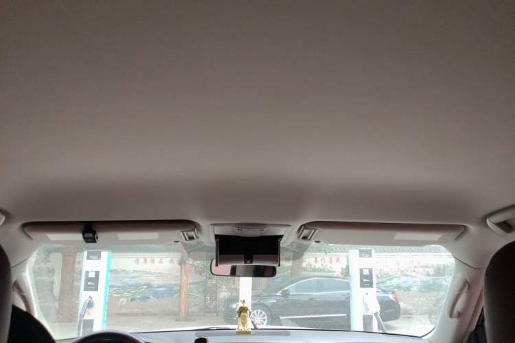 Used Nissan Patrol 2018 4.0L LinkedIn Edition Headliner