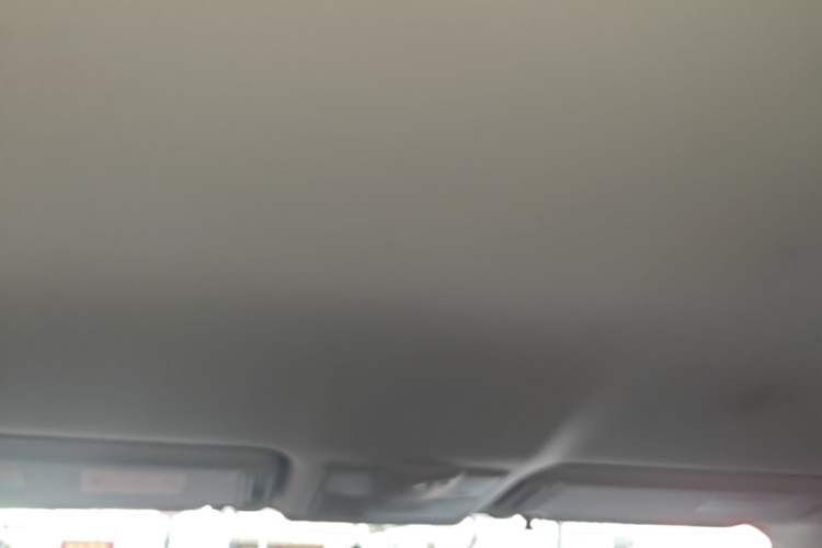 Used Nissan Patrol 2018 4.0L LinkedIn Edition Headliner