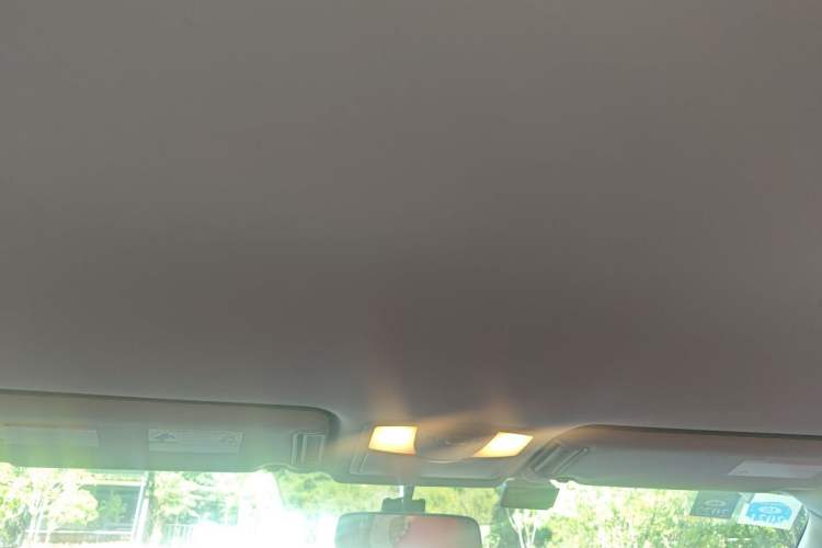 Used Nissan Patrol 2018 4.0L LinkedIn Edition Headliner