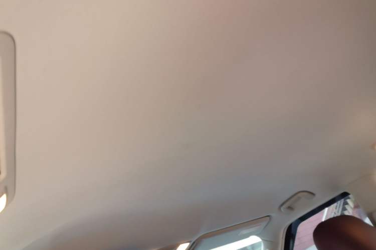 Used Nissan Patrol 2018 4.0L LinkedIn Edition Headliner