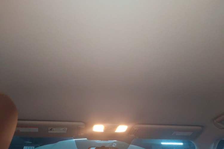 Used Nissan Patrol 2018 4.0L Automatic 7-Seater Middle East Version Headliner