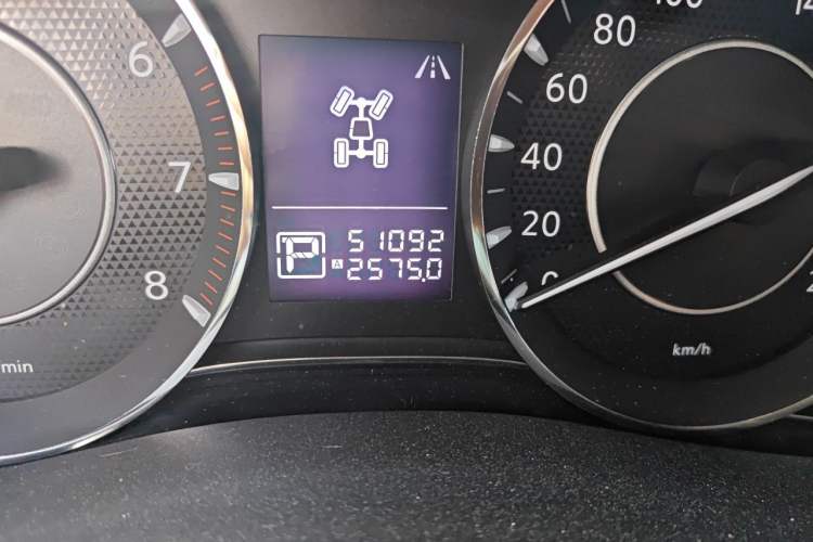 Used Nissan Patrol 2018 4.0L LinkedIn Edition Odometer Close Up