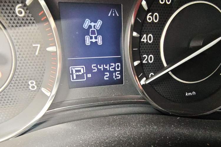 Used Nissan Patrol 2018 4.0L LinkedIn Edition Odometer Close Up