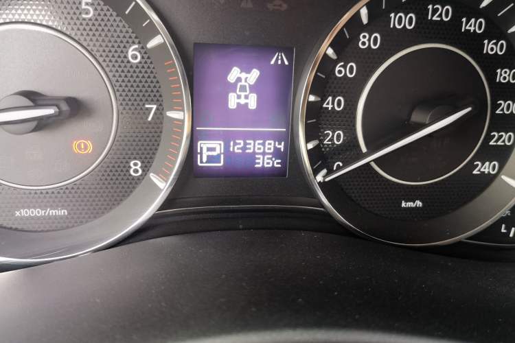Used Nissan Patrol 2018 4.0L LinkedIn Edition Odometer Close Up