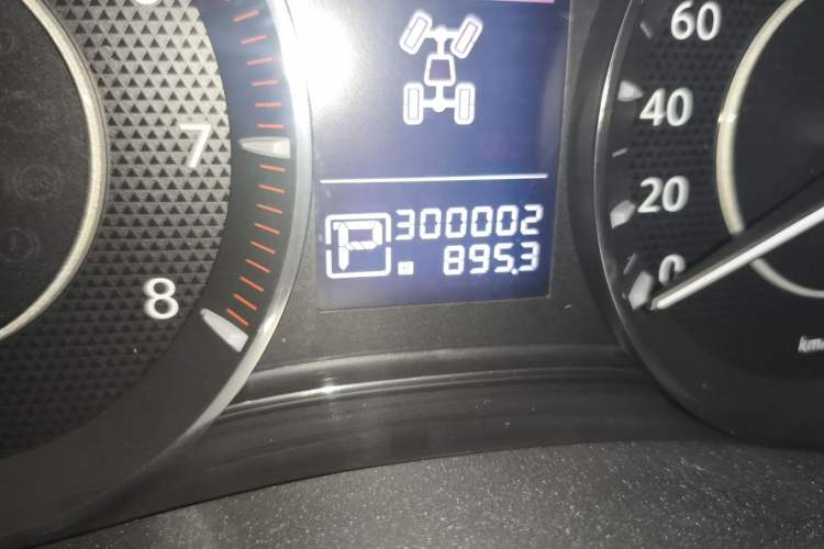 Used Nissan Patrol 2018 4.0L LinkedIn Edition Odometer Close Up