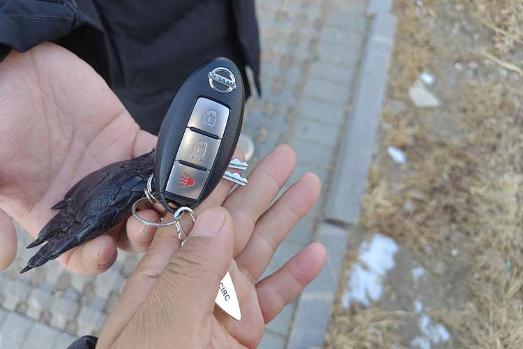 Used Nissan Patrol 2018 4.0L LinkedIn Edition Vehicle Key
