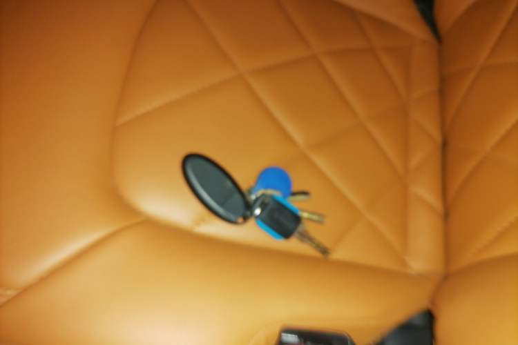 Used Nissan Patrol 2018 4.0L LinkedIn Edition Vehicle Key