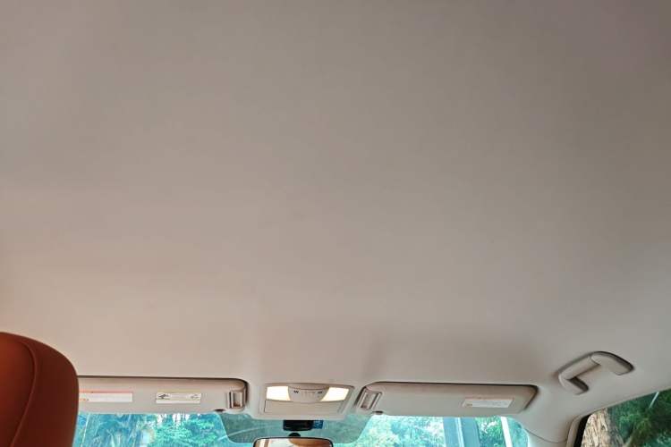 Used Nissan Patrol  Headliner