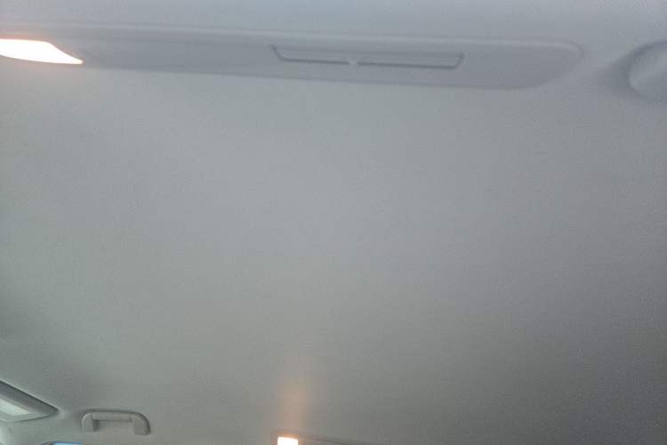 Used Nissan Patrol  Headliner