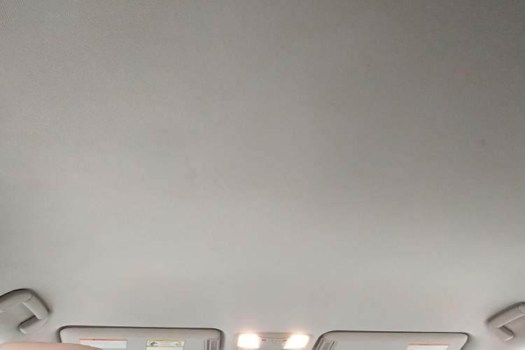 Used Nissan Patrol 2019 Y62 4.0L SE-T1 Middle East Headliner