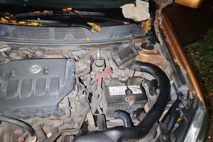 Used Nissan Qashqai 2011 1.6XE Wind 5MT 2WD Engine Bay Left