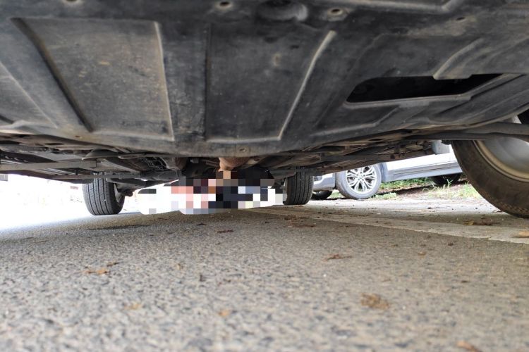 Used Nissan Qashqai 2011 2.0 XL Fire CVT 2WD Chassis Front