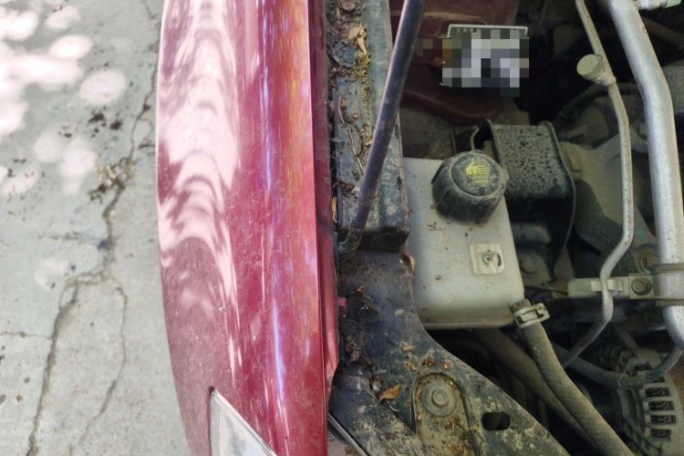Used Nissan Qashqai 2012 2.0 XV LE CVT 2WD Engine Bay Right