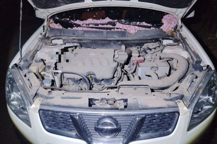 Used Nissan Qashqai 2012 2.0 XL Fire 6MT 2WD Engine Bay