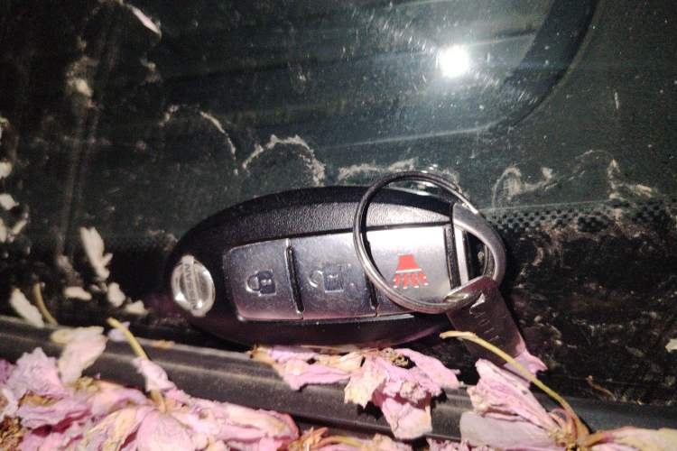 Used Nissan Qashqai 2012 2.0 XL Fire 6MT 2WD Vehicle Key