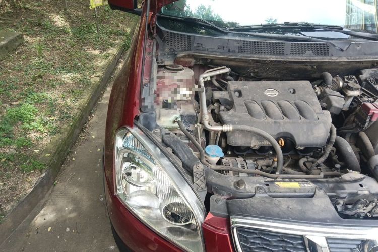 Used Nissan Qashqai 2013 2.0 XV X-Treme CVT 2WD Engine Bay Right
