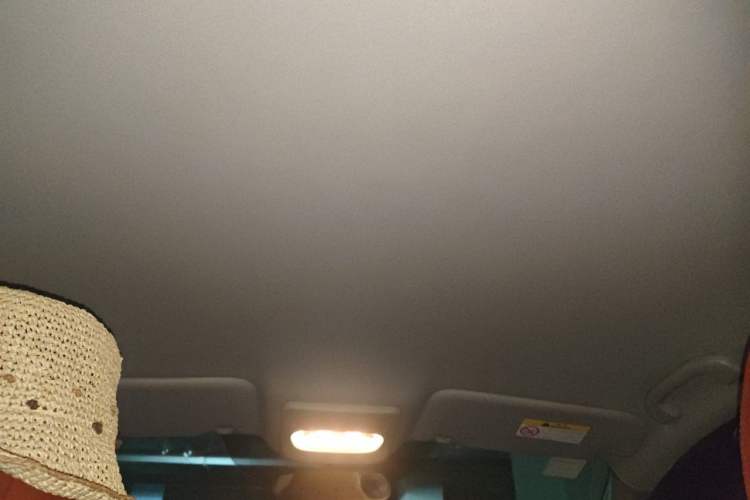 Used Nissan Qashqai 2016 2.0L CVT Elite Edition Headliner