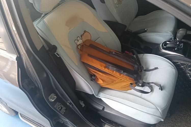 Used Nissan Qashqai 2016 2.0L CVT Elite Edition Right Front Seat