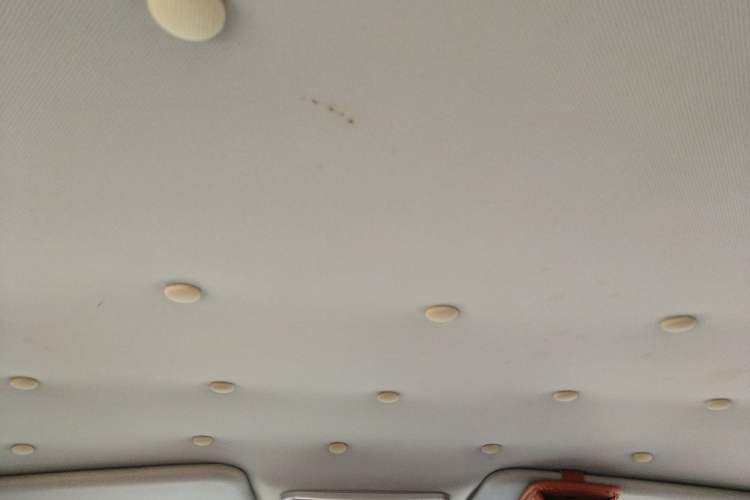Used Nissan Qashqai 2016 2.0L CVT Elite Edition Headliner