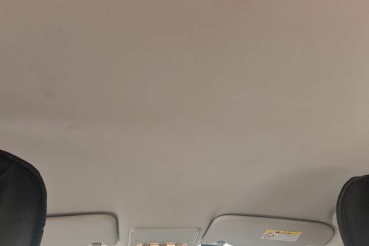 Used Nissan Qashqai 2016 2.0L CVT Elite Edition Headliner