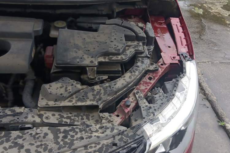Used Nissan Qashqai 2016 2.0L CVT Elite Edition Engine Bay Left