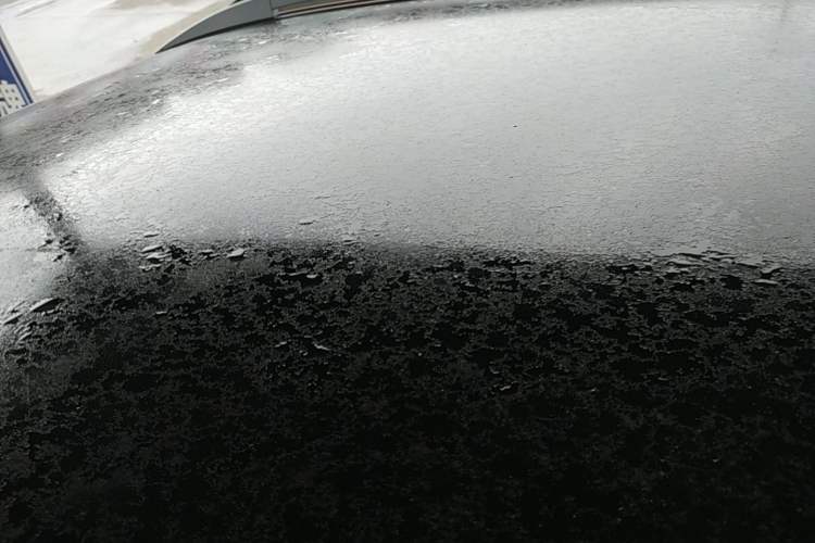 Used Nissan Qashqai 2016 2.0L CVT Luxury Edition Roof