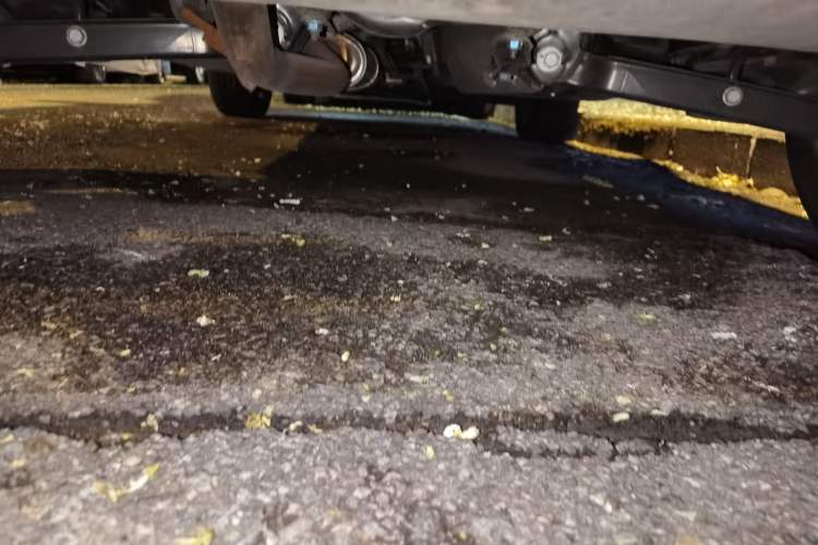 Used Nissan Qashqai 2016 2.0L CVT Luxury Edition Chassis Rear