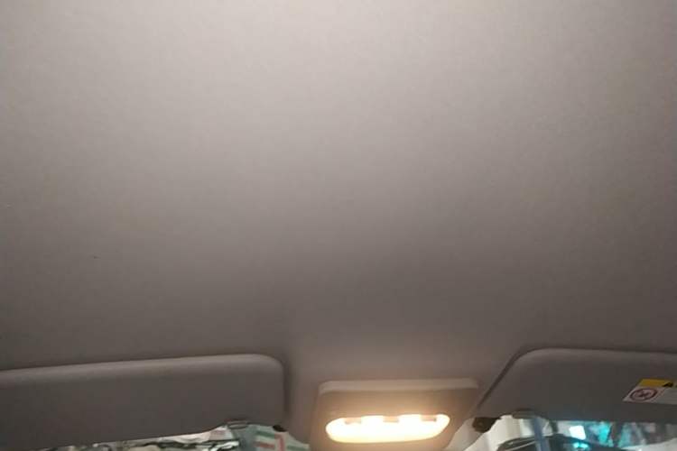 Used Nissan Qashqai 2016 2.0L CVT Elite Edition Headliner