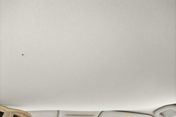 Used Nissan Qashqai 2016 2.0L CVT Elite Edition Headliner