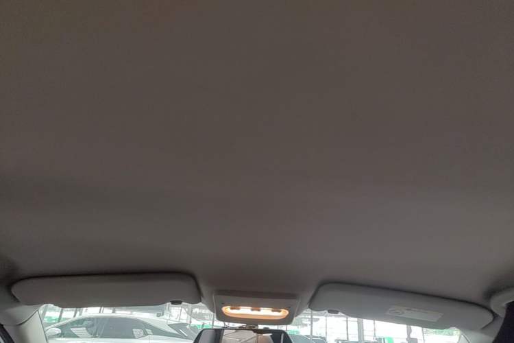 Used Nissan Qashqai 2016 2.0L CVT Elite Edition Headliner
