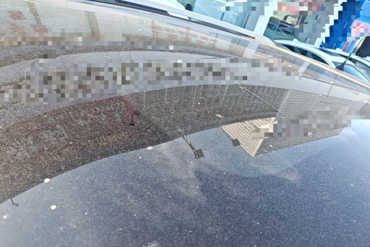 Used Nissan Qashqai 2016 2.0L CVT Luxury Edition Roof