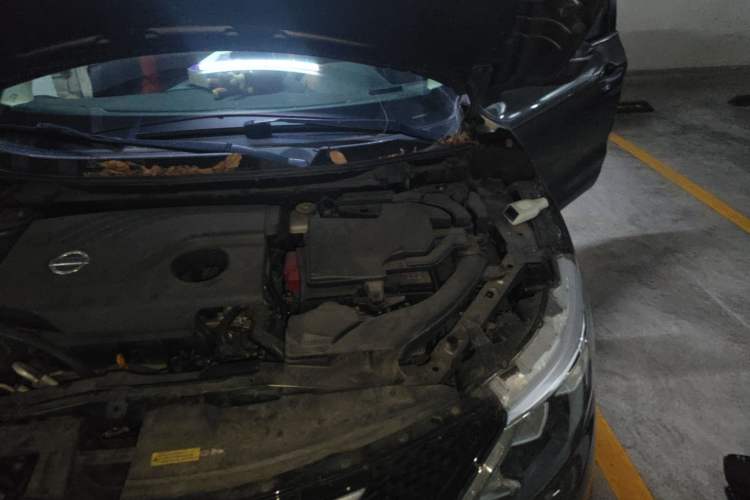 Used Nissan Qashqai 2017 2.0L CVT Smart Enjoyment Version China VI Standard Engine Bay Left