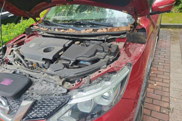 Used Nissan Qashqai 2017 2.0L CVT Luxury Edition China V Standard Engine Bay Left