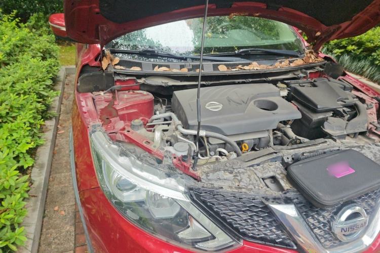 Used Nissan Qashqai 2017 2.0L CVT Luxury Edition China V Standard Engine Bay Right