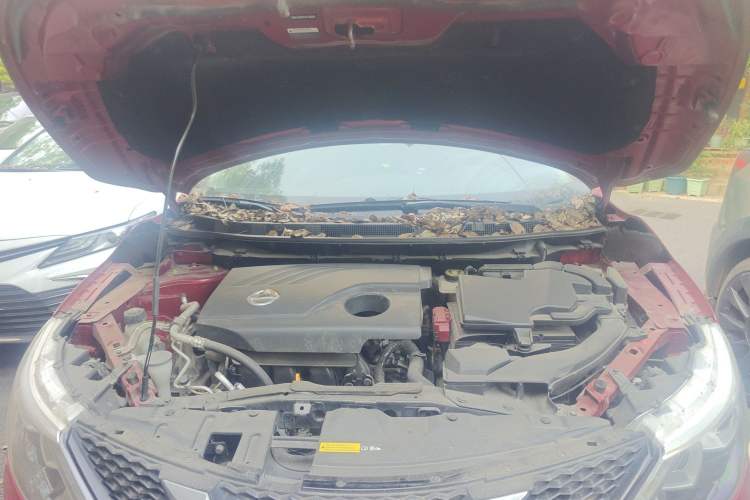 Used Nissan Qashqai 2017 2.0L CVT Elite Edition China V Standard Engine Bay