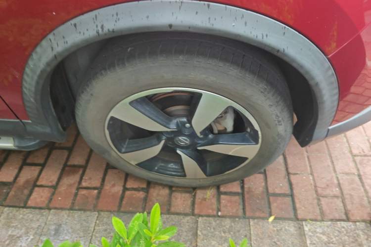 Used Nissan Qashqai 2017 2.0L CVT Luxury Edition China V Standard Right Front Wheel Hub