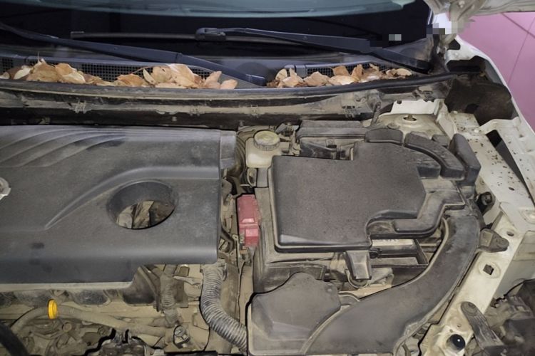 Used Nissan Qashqai 2017 2.0L CVT Elite Edition China V Standard Engine Bay Left
