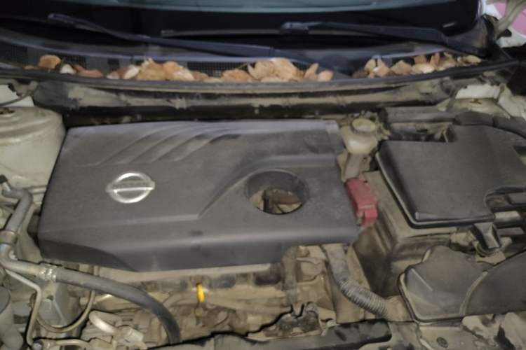 Used Nissan Qashqai 2017 2.0L CVT Elite Edition China V Standard Engine Bay