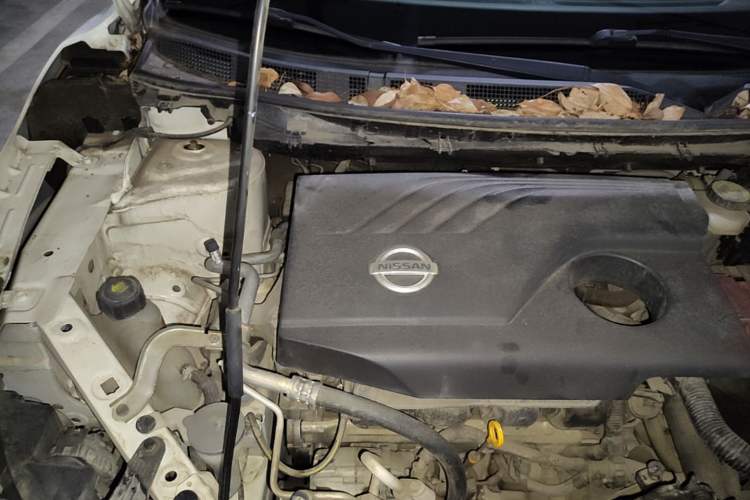 Used Nissan Qashqai 2017 2.0L CVT Elite Edition China V Standard Engine Bay Right