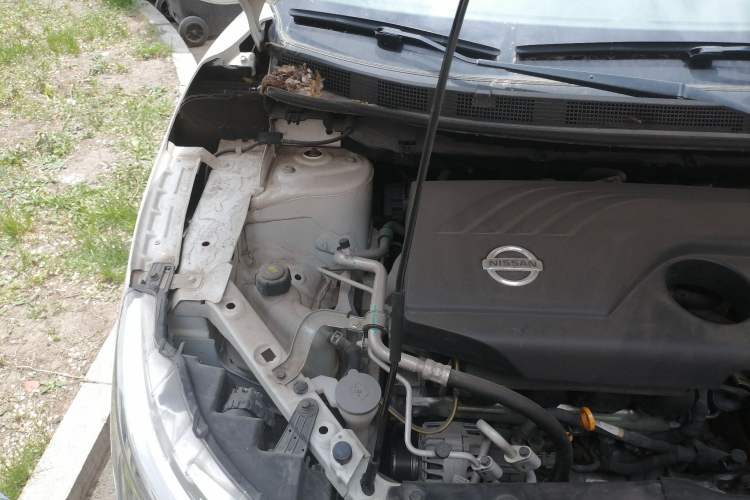 Used Nissan Qashqai 2017 2.0L CVT Smart Enjoyment Version China V Standard Engine Bay Right