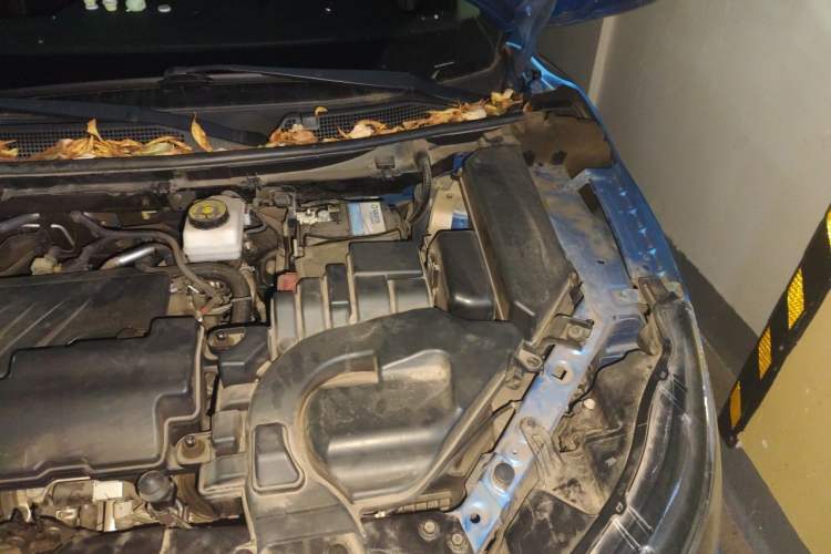 Used Nissan Qashqai 2019 2.0L CVT Luxury Edition Engine Bay Left
