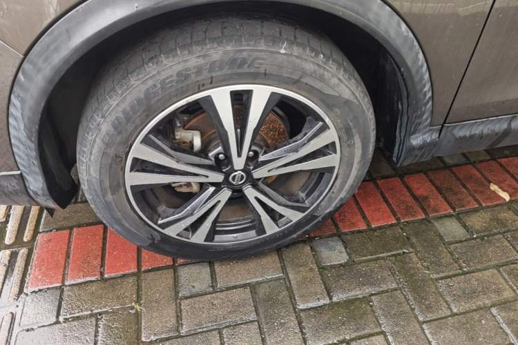 Used Nissan Qashqai 2019 2.0L CVT Luxury Edition Exterior 4