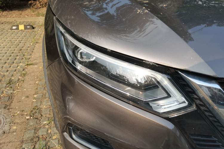 Used Nissan Qashqai 2019 2.0L CVT Luxury Edition Exterior 6